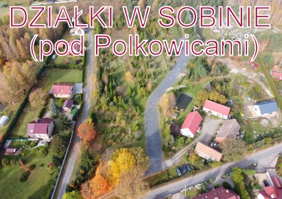 działka na sprzedaż - Polkowice (gw), Sobin